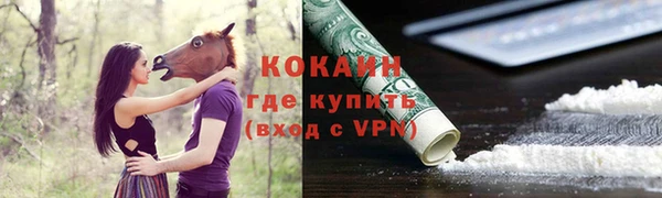 спиды Богданович