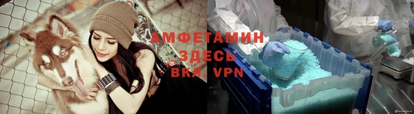 спиды Богданович