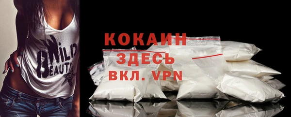 спиды Богданович