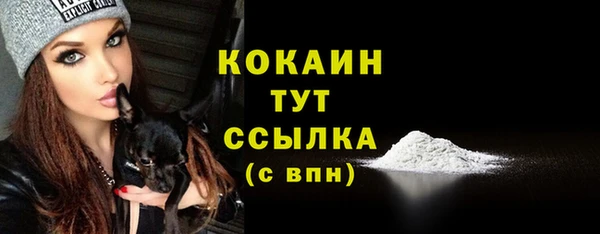 скорость Богородицк