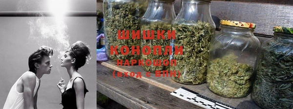 спиды Богданович